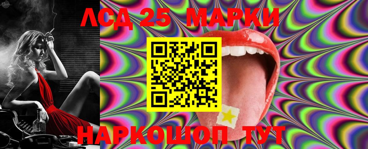 LSD-25 экстази кислота  Вход с VPN  Новозыбков 