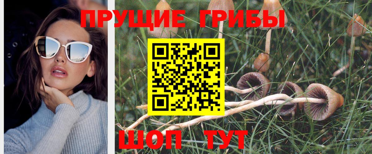 Псилоцибиновые грибы ЛСД Новозыбков