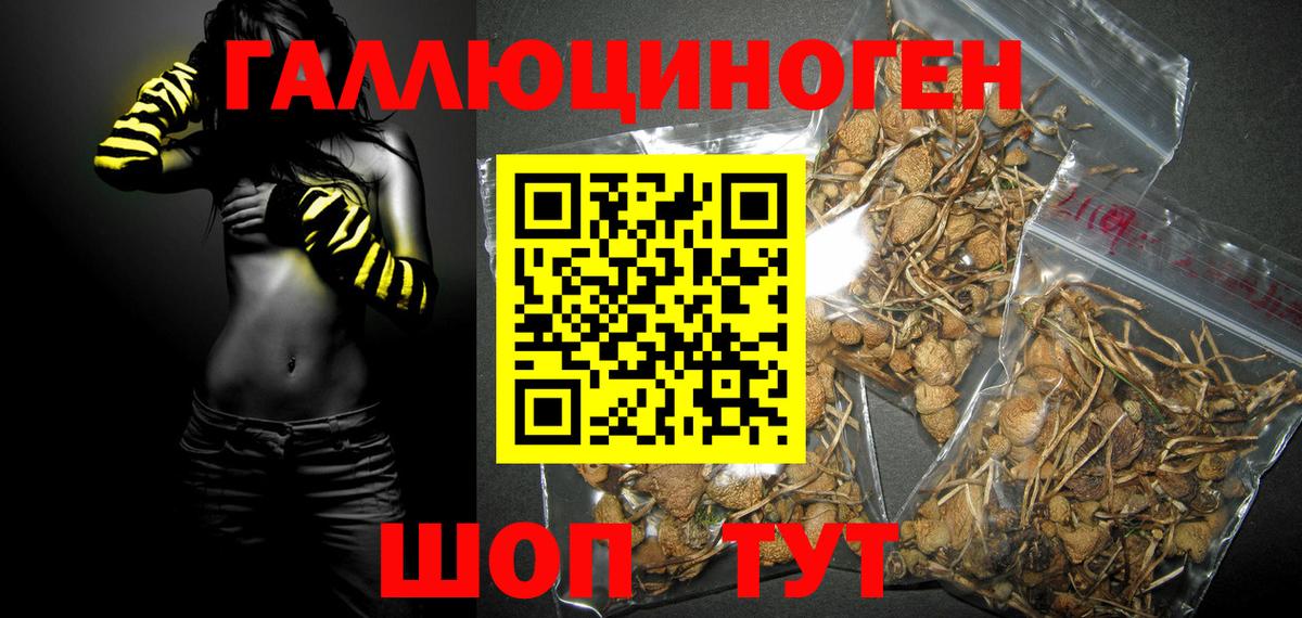 Псилоцибиновые грибы Magic Shrooms  Вход с VPN  Новозыбков 
